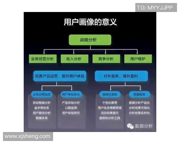 武汉极限运动队的区域防守策略揭秘与深度分析